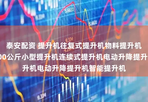 泰安配资 提升机往复式提升机物料提升机上下提升机500公斤小型提升机连续式提升机电动升降提升机智能提升机